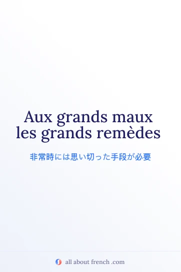 おしゃれなフランス語の名言 aux grands maux les grands remedes