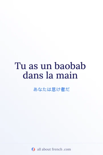 おしゃれなフランス語の表現 baobab dans la main