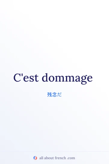 おしゃれなフランス語の言葉 cest dommage