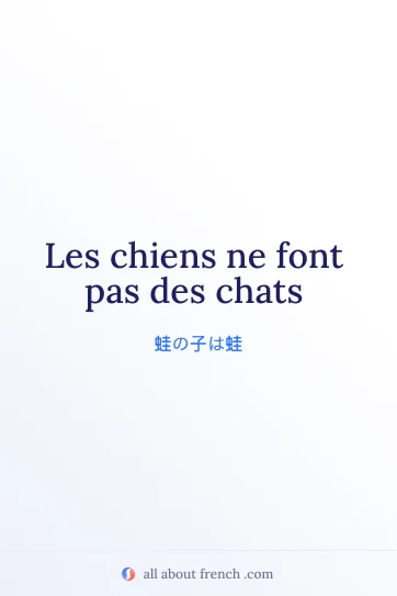 おしゃれなフランス語の名言 chiens font pas des chats