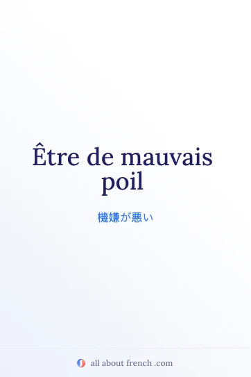 おしゃれなフランス語の表現 être de mauvais poil