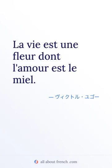 おしゃれなフランス語の名言 la vie est une fleur dont lamour est le miel