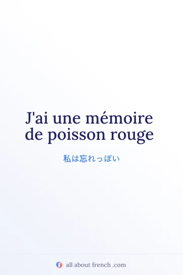 おしゃれなフランス語の名言 memoire de poisson rouge