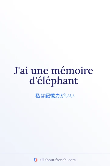 おしゃれなフランス語の名言 memoire delephant