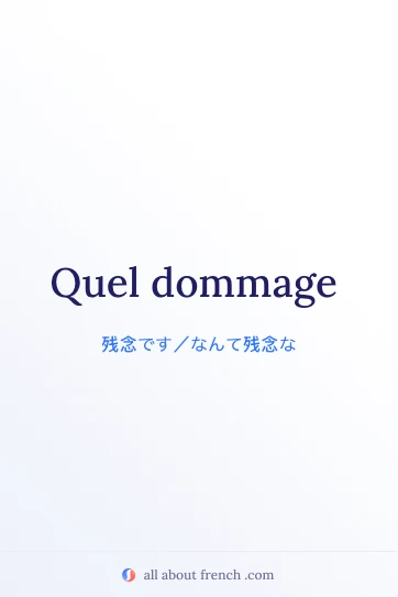 おしゃれなフランス語フレーズ quel dommage の画像