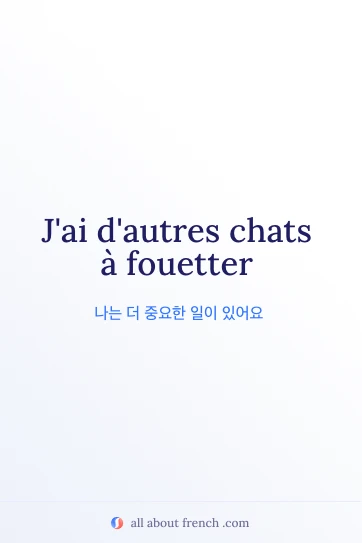 감성적인 프랑스어 명언 autres chats a fouetter