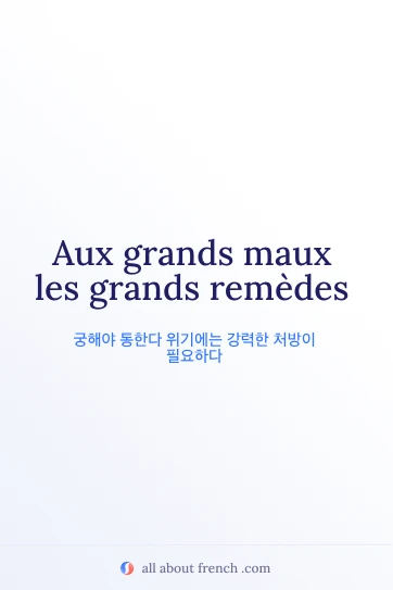 aux grands maux les grands remèdes 문구가 담긴 감각적인 프랑스어 명언
