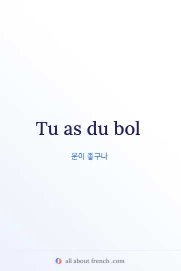 avoir du bol 프랑스어 명언 디자인 이미지
