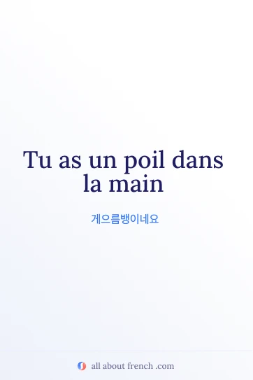 프랑스어 명언 avoir poil dans la main을 담은 감성 이미지
