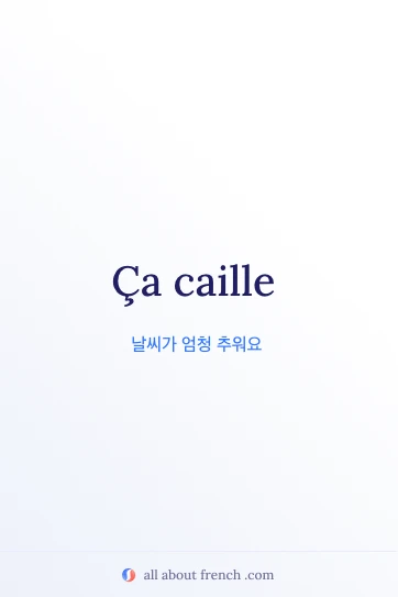 감성 프랑스어 명언 ca caille