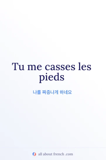 casser les pieds 표현이 담긴 감각적인 프랑스어 문구