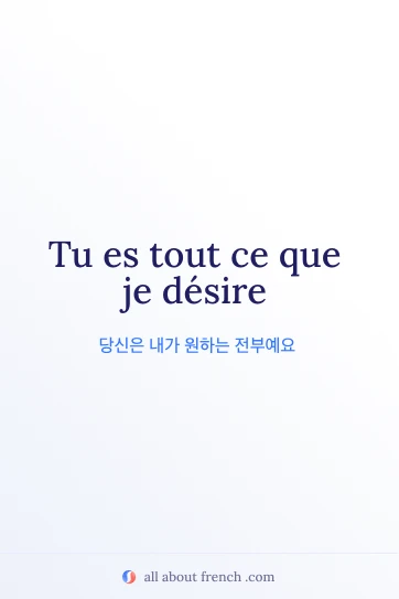 ce que je desire가 적힌 아름다운 프랑스어 명언