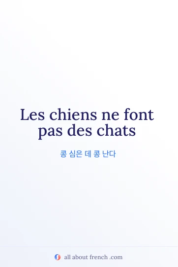 멋진 프랑스어 명언 chiens font pas des chats