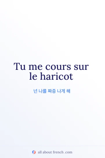 감성적인 프랑스어 명언 courir sur le haricot