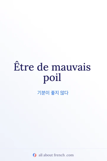 etre de mauvais poil 프랑스어 감성 명언
