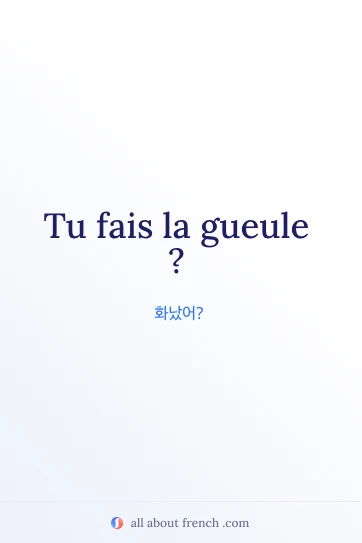 faire la gueule 표현이 담긴 감각적인 프랑스어 명언