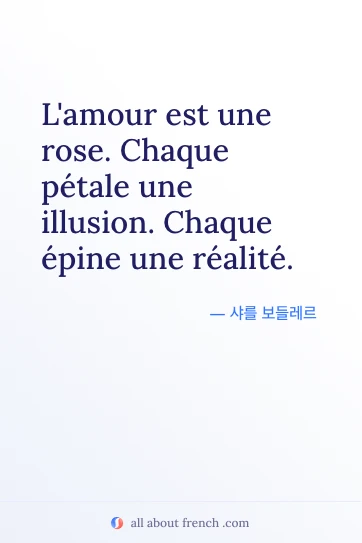 프랑스어 명언 lamour est une rose 감성 이미지