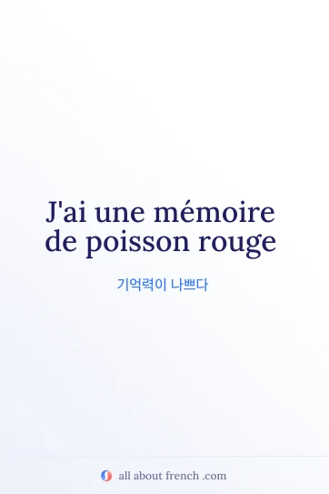 J'ai une mémoire de poisson rouge 문구가 담긴 감성적인 프랑스어 명언