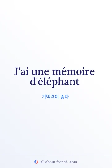 프랑스어 명언 memoire delephant을 담은 감각적인 이미지