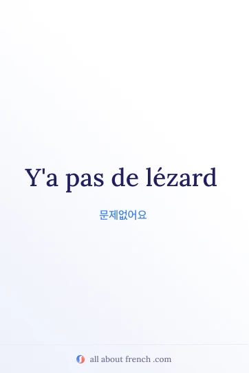 pas de lezard 프랑스어 문구가 담긴 감성 이미지
