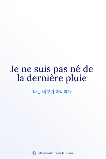 pas ne de la derniere pluie 문구가 담긴 감각적인 프랑스어 명언 이미지