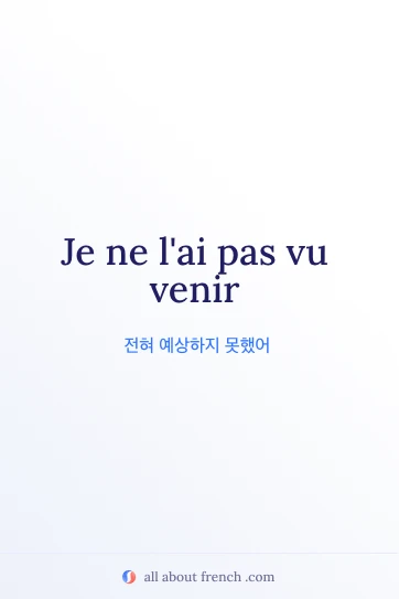 감성적인 프랑스어 명언 pas vu venir