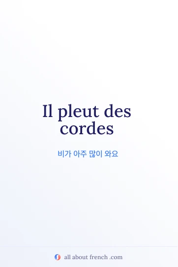 감각적인 프랑스어 표현 pleuvoir des cordes 이미지