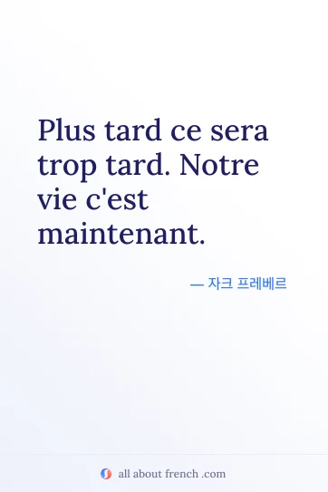 프랑스어 명언 plus tard ce sera trop tard 감성 이미지
