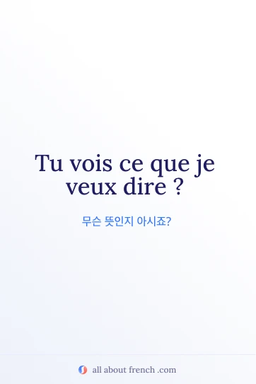 감각적인 프랑스어 문구 vois ce que je veux dire