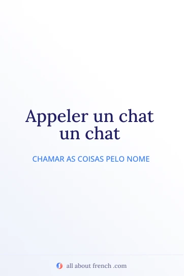 citação francesa estética appeler un chat un chat
