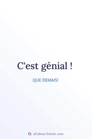 citação francesa estética cest genial