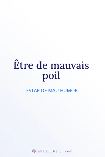 citação estética em francês etre de mauvais poil