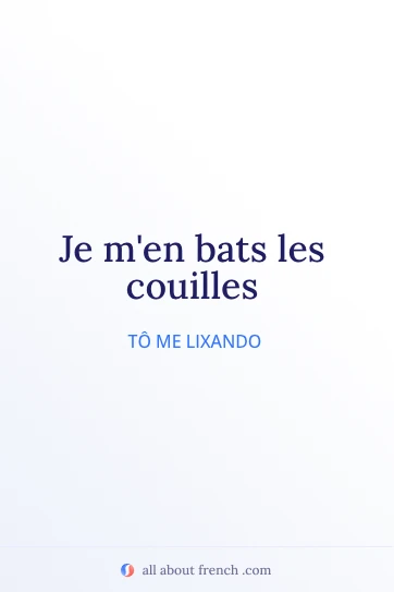 citação francesa estética je men bats les couilles