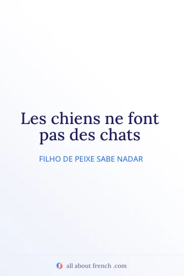citação francesa estética chiens font pas des chats