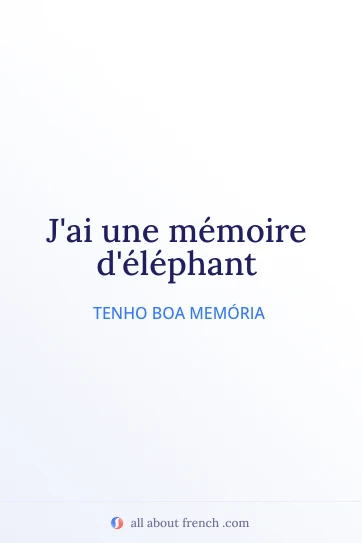 citação francesa estética memoire delephant