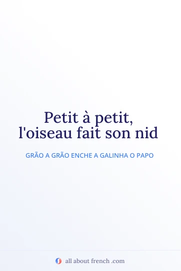 citação francesa estética petit a petit loiseau fait son nid