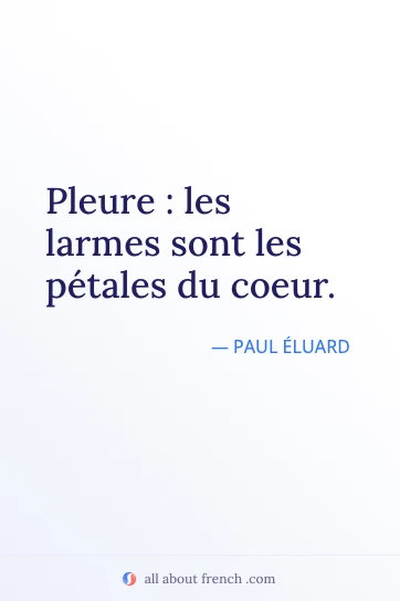 citação francesa estética pleure larmes petales du coeur