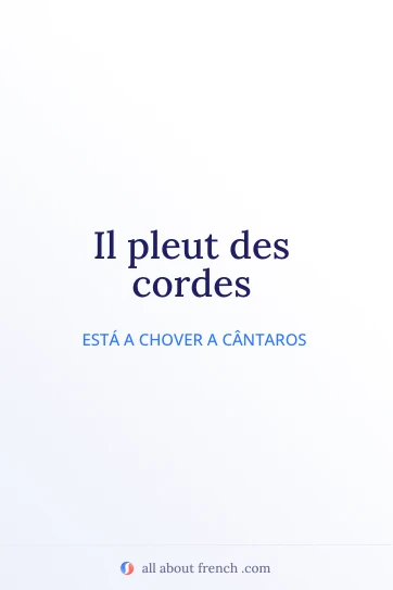bela citação francesa pleuvoir des cordes