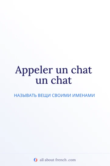 эстетичная французская цитата appeler un chat un chat