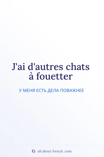 красивая французская цитата autres chats a fouetter