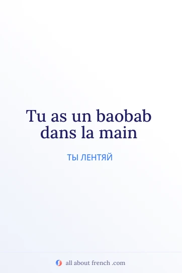 эстетичная французская цитата baobab dans la main