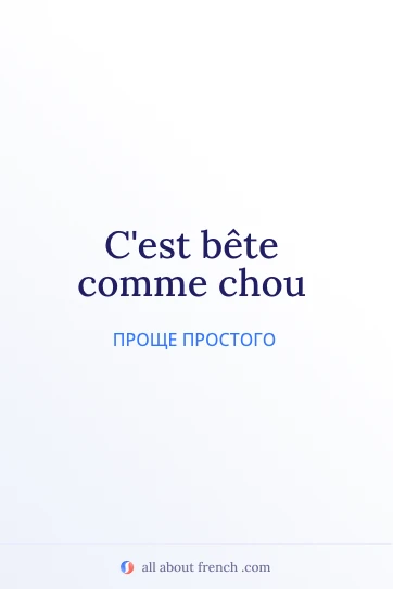 эстетичная французская идиома bete comme chou
