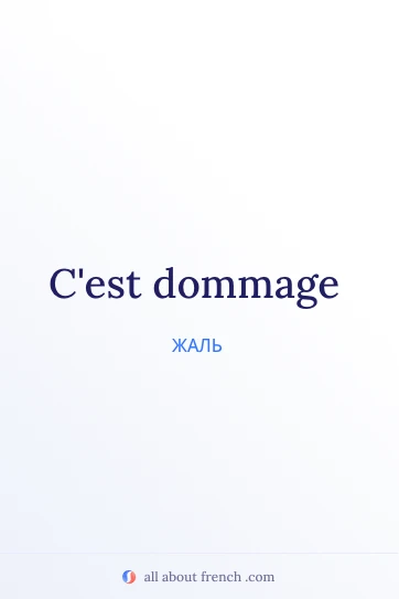 эстетичная французская цитата cest dommage