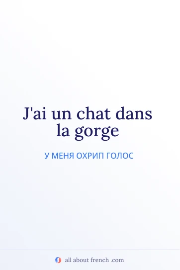 эстетичная французская цитата chat dans la gorge