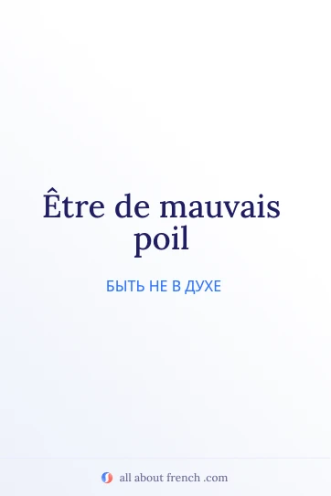 красивая французская цитата etre de mauvais poil