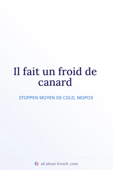 эстетичная французская цитата froid de canard