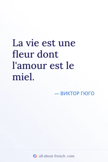эстетичная французская цитата la vie est une fleur dont lamour est le miel