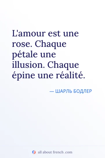 эстетичная французская цитата lamour est une rose