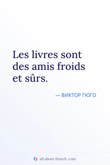эстетичная французская цитата livres amis froids et surs