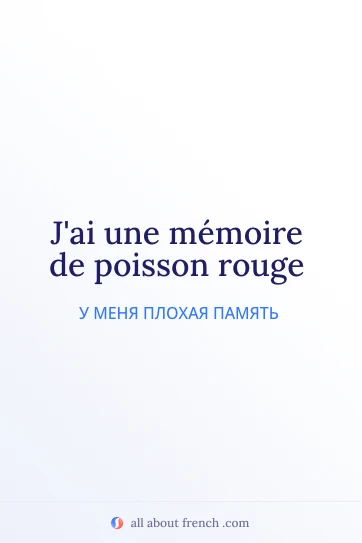 эстетичная французская цитата memoire de poisson rouge